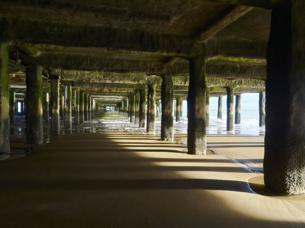 Pier And Beam Leveling in Port Orchard